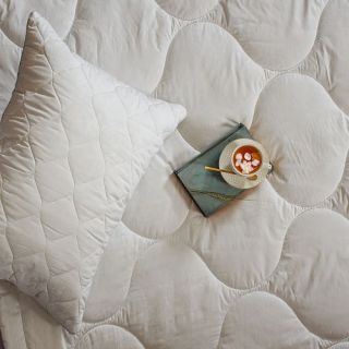 Cleanelly – Подушка 70х70 Эвкалипт, размер 70Х70