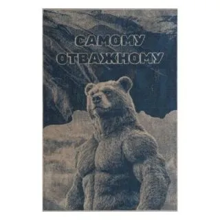 Полотенце махровое Brave bear 100х150